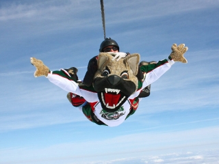 Chilly of the Houston Aeros