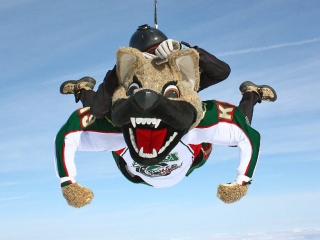 Chilly of the Houston Aeros skydiving