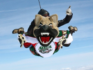 Chilly of the Houston Aeros