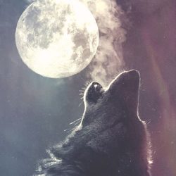 Howl at the moon! (by Goddess Rising Sisterhood)